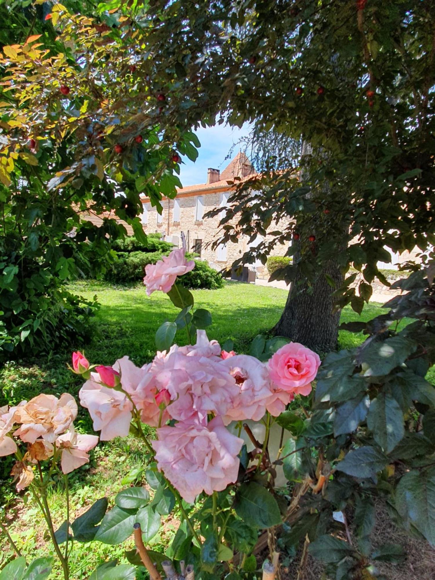 Logis Hotel Le Prince Noir Sérignac-sur-Garonne Εξωτερικό φωτογραφία